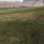 Imagem do WhatsApp de 2025-07-11 à(s) 11.50.45_68d548ad