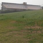 Imagem do WhatsApp de 2025-07-11 à(s) 11.50.45_77934c93