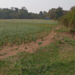 Imagem do WhatsApp de 2025-07-11 à(s) 11.50.45_800e2aa3