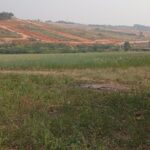 Imagem-do-WhatsApp-de-2025-07-11-as-11.50.45_98374f25 (1)