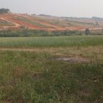 Imagem do WhatsApp de 2025-07-11 à(s) 11.50.45_98374f25