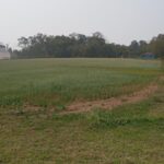 Imagem do WhatsApp de 2025-07-11 à(s) 11.50.46_d4d54e77